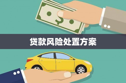 槐荫贷款风险处置方案