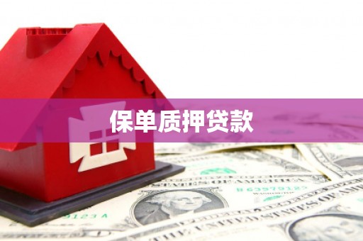 槐荫保单质押贷款