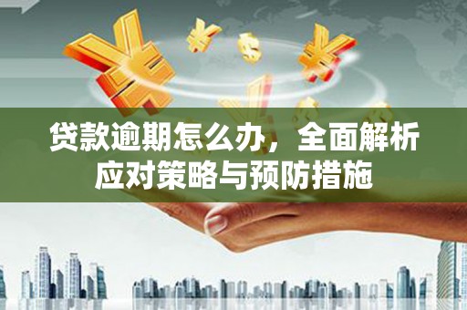 槐荫贷款逾期怎么办，全面解析应对策略与预防措施