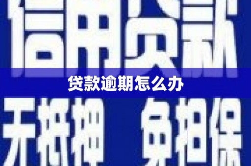 槐荫贷款逾期怎么办