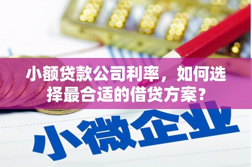 槐荫小额贷款公司利率，如何选择最合适的借贷方案？