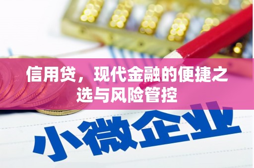 槐荫信用贷，现代金融的便捷之选与风险管控