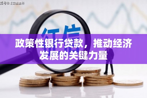 槐荫政策性银行贷款，推动经济发展的关键力量