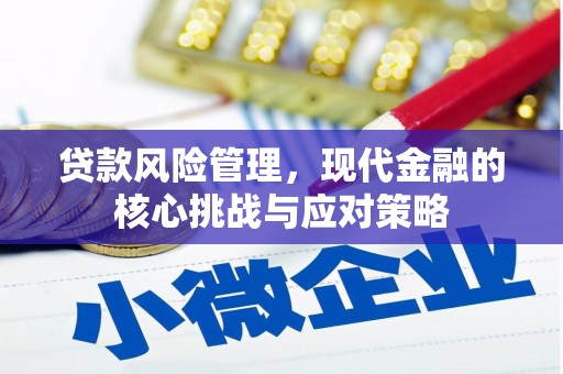 槐荫贷款风险管理，现代金融的核心挑战与应对策略