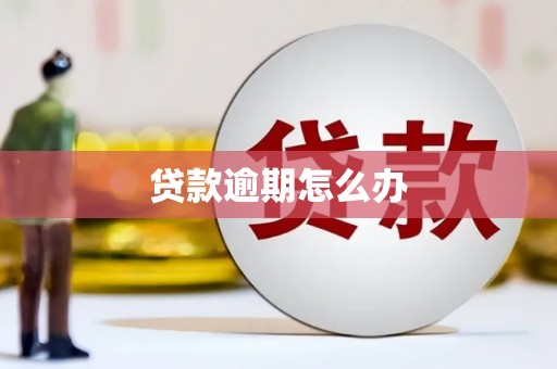 槐荫贷款逾期怎么办