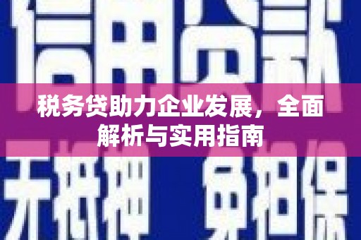 槐荫税务贷助力企业发展，全面解析与实用指南