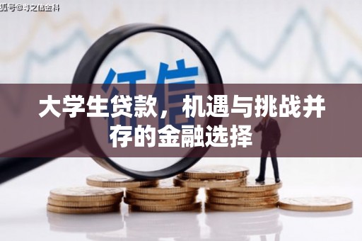 槐荫大学生贷款，机遇与挑战并存的金融选择