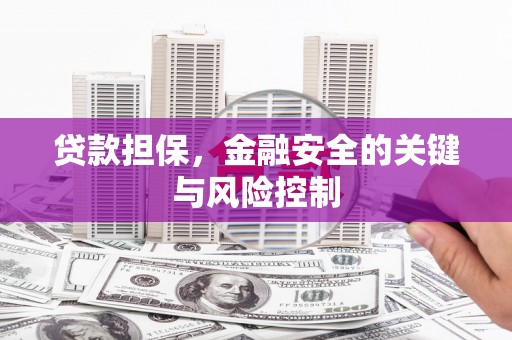 槐荫贷款担保，金融安全的关键与风险控制