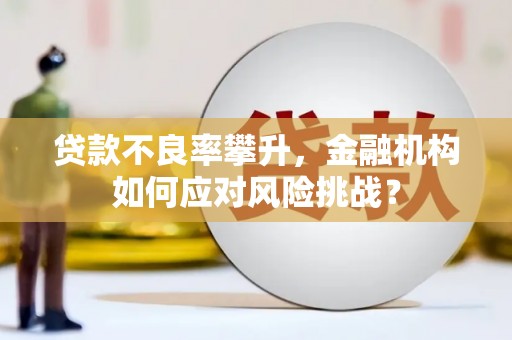 槐荫贷款不良率攀升，金融机构如何应对风险挑战？