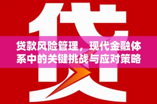 槐荫贷款风险管理，现代金融体系中的关键挑战与应对策略