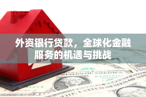 槐荫外资银行贷款，全球化金融服务的机遇与挑战