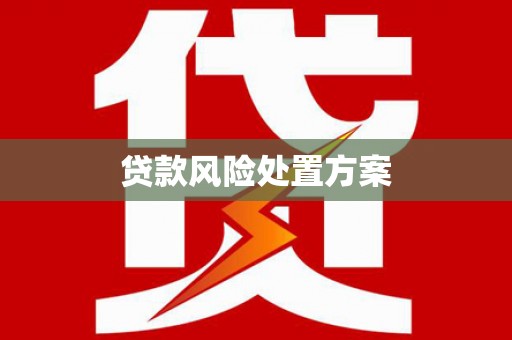 槐荫贷款风险处置方案