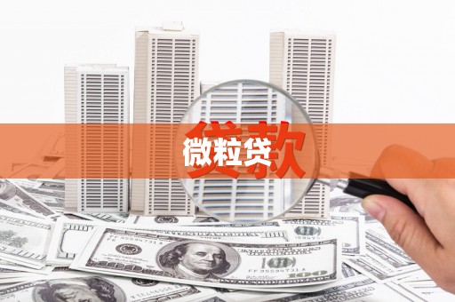 槐荫微粒贷