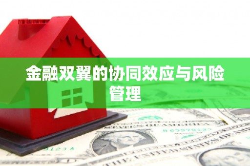 槐荫金融双翼的协同效应与风险管理