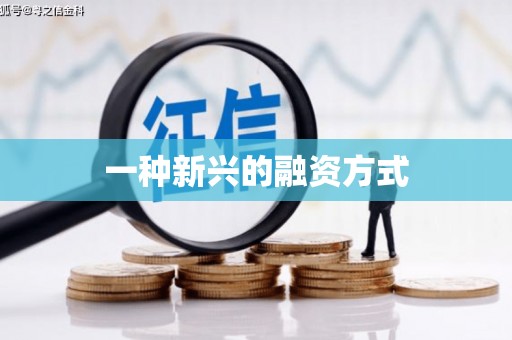 槐荫一种新兴的融资方式