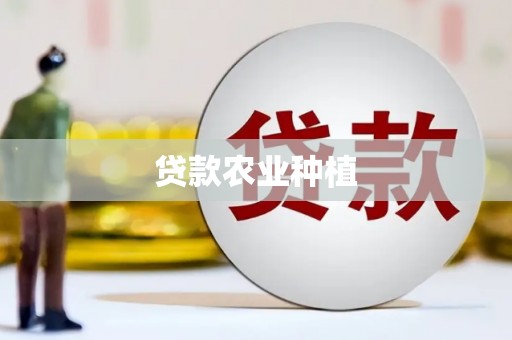 槐荫贷款农业种植