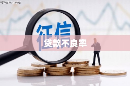 槐荫贷款不良率