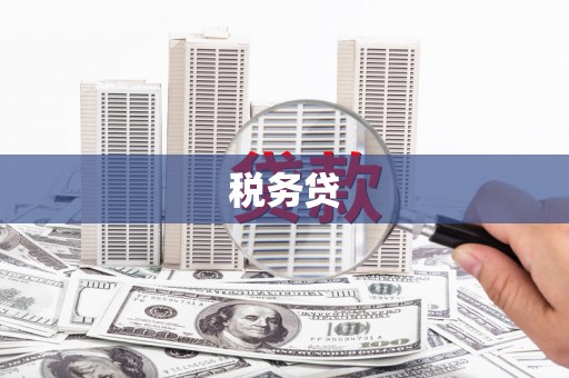 槐荫税务贷